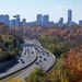 October and the DVP