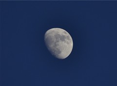 Luna 31/05/2012
