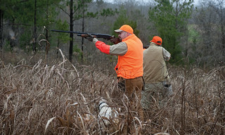 Private Alabama Quail Hunting - Davis Quail 36