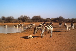 Namibia Luxury Hunting Safari 35