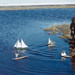 Group of Inuit children sailing toy sailboats at water's edge / Groupe d'enfants inuits faisant naviguer leurs bateaux jouets au bord de l'eau