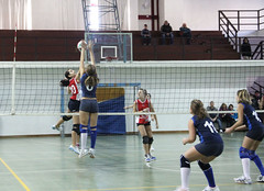 Torneo Volare Volley Under 13 • <a style="font-size:0.8em;" href="http://www.flickr.com/photos/69060814@N02/8261467545/" target="_blank">View on Flickr</a>