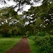Amora Gedel Park in Hawassa (2)
