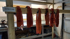 The Inupiat Heritage Center teaches the Native youth the ways of their culture -- here, how to cut and dry salmon