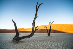 Deadvlei Sossusvlei Namibia • <a style="font-size:0.8em;" href="https://www.flickr.com/photos/21540187@N07/8291682651/" target="_blank">View on Flickr</a>