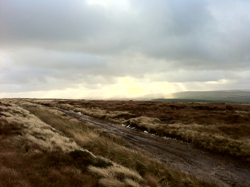Moorland by Chapel Gate track