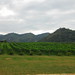 PB Valley Khaoyai Winery