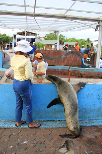 Galapagos Tour, 2012