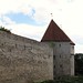 Tallinn Wall • <a style="font-size:0.8em;" href="http://www.flickr.com/photos/26088968@N02/8560336823/" target="_blank">View on Flickr</a>