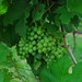 PB Valley Khaoyai Winery