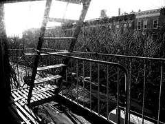 Bird on fire escape • <a style="font-size:0.8em;" href="http://www.flickr.com/photos/59137086@N08/8520732282/" target="_blank">View on Flickr</a>