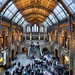 Natural History Museum, Londra • <a style="font-size:0.8em;" href="http://www.flickr.com/photos/85603230@N05/8572448271/" target="_blank">View on Flickr</a>