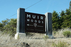 Muir Woods, USA, September 2012