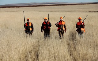 South Dakota Pheasant Hunt - Pierre 3