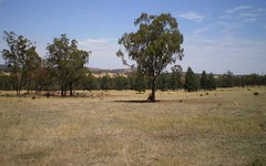 Lot 252, Bygoo Road, Ardlethan NSW