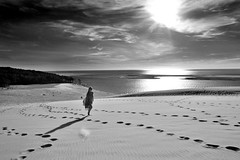 Pèlerinage sur la dune