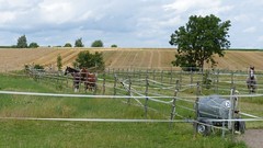 Pferdekoppeln bei Framersheim
