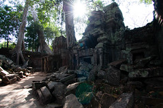 la cité d'angkor et ses temples