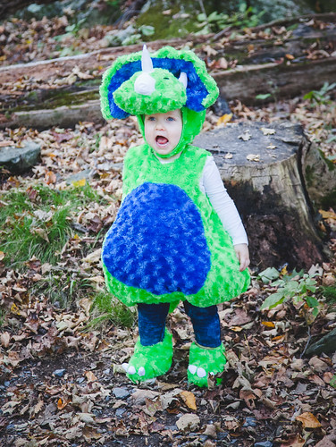 canon 5d markii girl toddler nature beauty rawr dinosaur halloween costume dressup