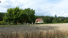 Schanzenmühle