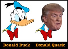 Anglų lietuvių žodynas. Žodis quacks reiškia šarlatāni lietuviškai.