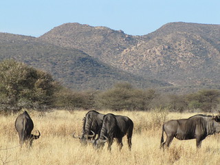 Namibia Photo Safari 20