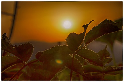 IMG_0037 (vivids8) sunset italy tramonti eos650d