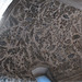 The Mausoleum of Costanza (Constantina) (X)