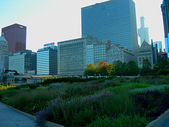 Millennium Park Lurie Garden • <a style="font-size:0.8em;" href="http://www.flickr.com/photos/59137086@N08/7898311910/" target="_blank">View on Flickr</a>