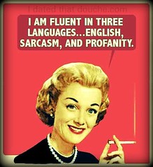 I Am Fluent In Three Languages ...item 1.. For...