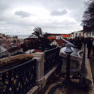 Lisboa... "Gallo Lusitano"