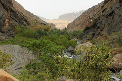 Road to Wadi Nakhr