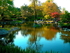 Japanese Garden Pond on Wooded Island • <a style="font-size:0.8em;" href="http://www.flickr.com/photos/59137086@N08/7888195380/" target="_blank">View on Flickr</a>