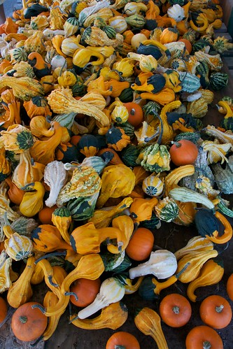 Many gourds