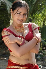 South actress MADHUCHANDAPhotos Set-3-HOT IN TRADITIONAL DRESS (49)
