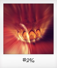 #DailyPolaroid of 20-7-16 #296 • <a style="font-size:0.8em;" href="http://www.flickr.com/photos/47939785@N05/28519432053/" target="_blank">View on Flickr</a>