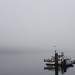 Day 20: Fog in Ucluelet