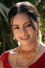 South actress MADHUCHANDAPhotos Set-3-HOT IN TRADITIONAL DRESS (5)