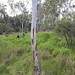 Boggomoss, near Taroom, Queensland