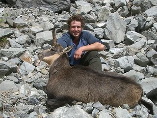 New Zealand Red Stag Hunting - Christchurch 34