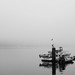 Fog, Ucluelet, BC