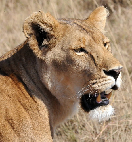 Tanzania, September 2012