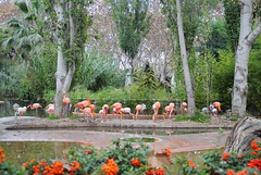 Canalla al Zoo • <a style="font-size:0.8em;" href="http://www.flickr.com/photos/31274934@N02/8218703448/" target="_blank">View on Flickr</a>