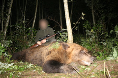 Bear Hunting In Estonia