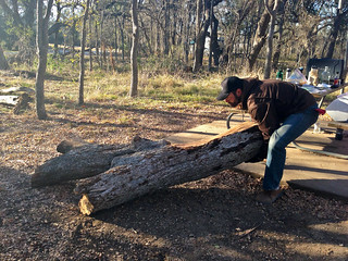 Jake got us a citation for moving this giant log to use as a bench.