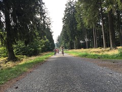 Mountainbike De Zwaan - Ovifat