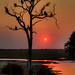 Sunset with Vultures in Chobe National Park Botswana • <a style="font-size:0.8em;" href="https://www.flickr.com/photos/21540187@N07/8293282287/" target="_blank">View on Flickr</a>