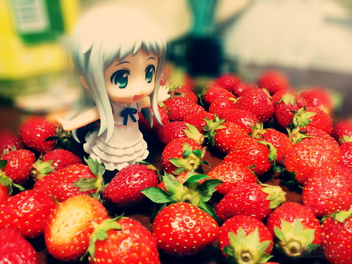 strawberrymenma {ԉߎq ق ߂CHonma Meiko