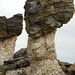 Granite & gneiss (Proterozoic; Mushroom Rocks, Rocky Mountains National Park, Colorado, USA)