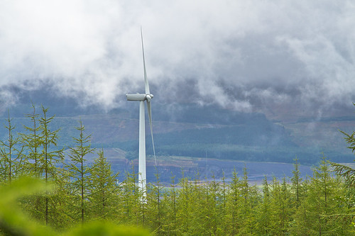 Wind turbine in Welsh forest, Stuart Allen